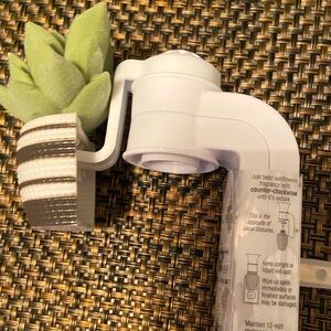 NWT B&BW Succulent Wallflower.